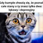 Stany lękowe i depresyjne