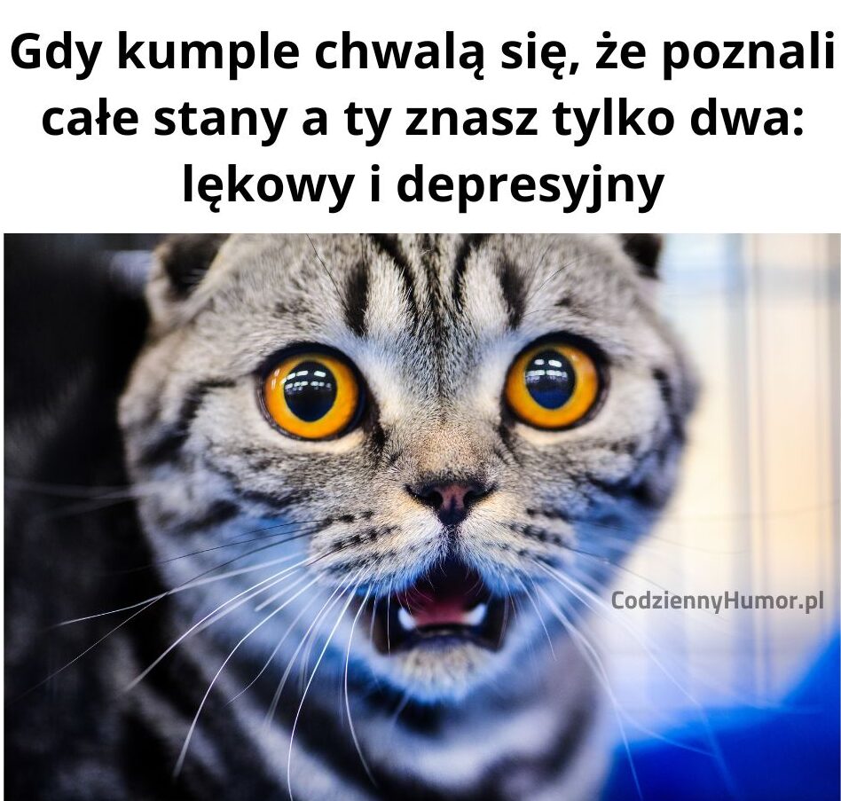 Stany lękowe i depresyjne