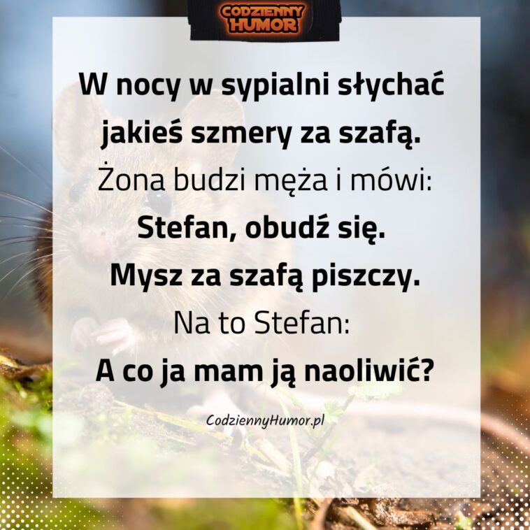 Mysz za szafą