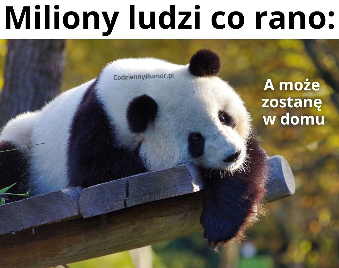 A może by tak nie iść do pracy?