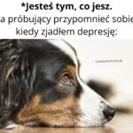 Jesteś tym co jesz