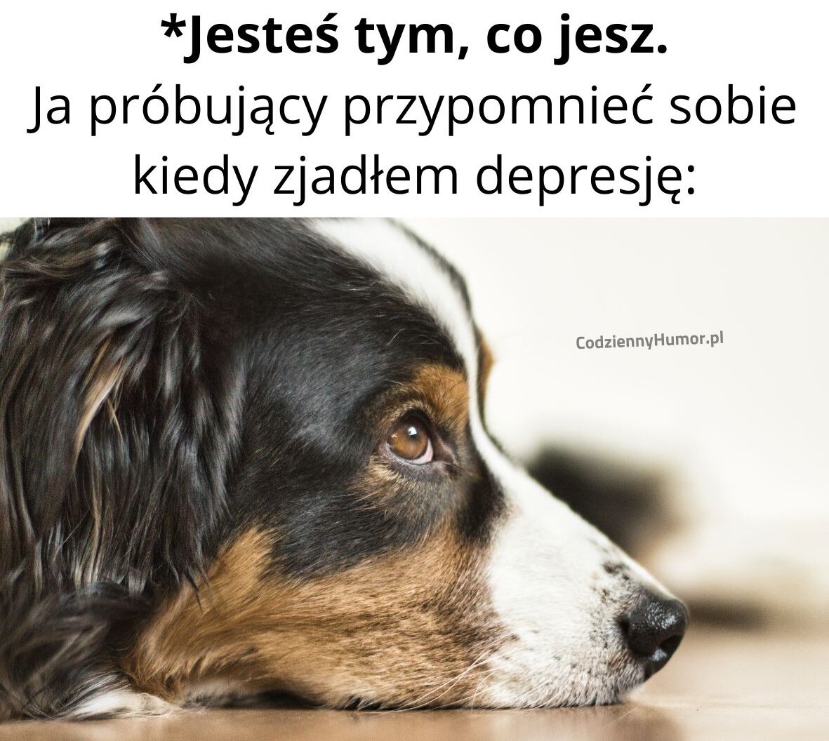 Jesteś tym co jesz