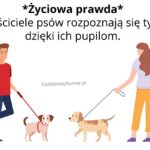 Jak się rozpoznają właściciele psów?