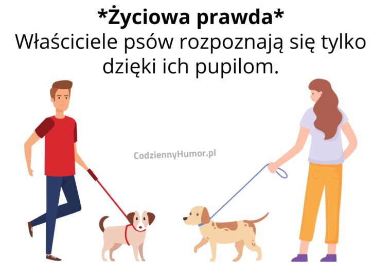 Jak się rozpoznają właściciele psów?