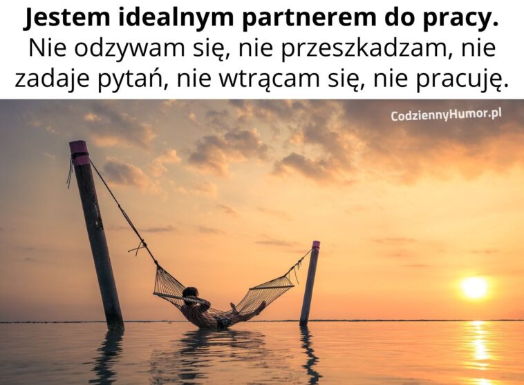 Idealny partner do pracy