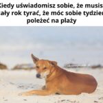 Ciężkie życie na wakacjach