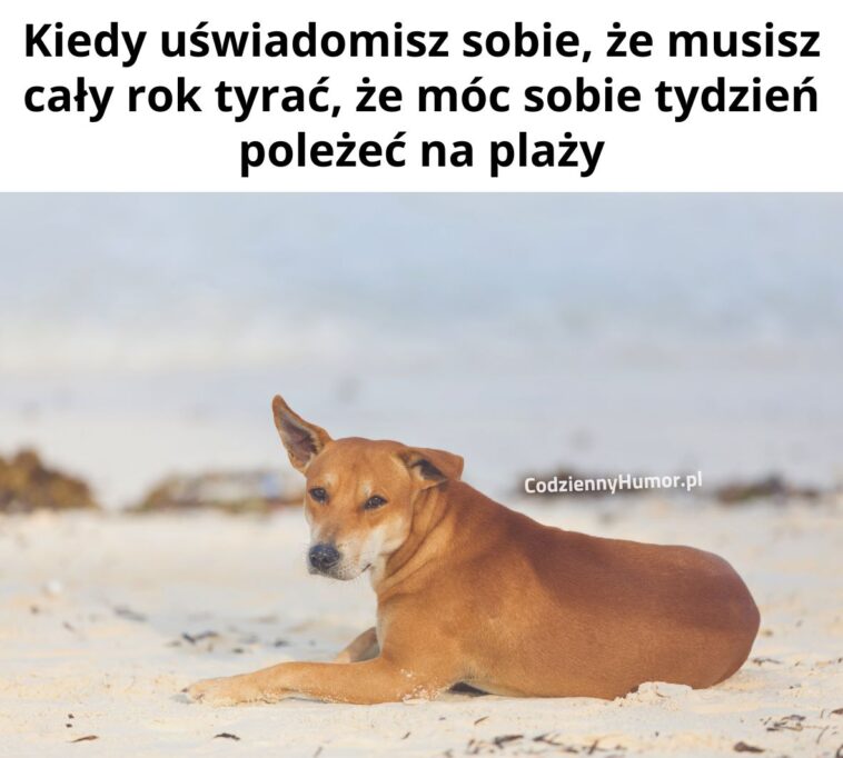 Ciężkie życie na wakacjach