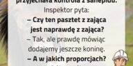 Pasztet z zająca