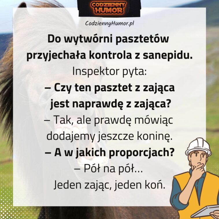 Pasztet z zająca