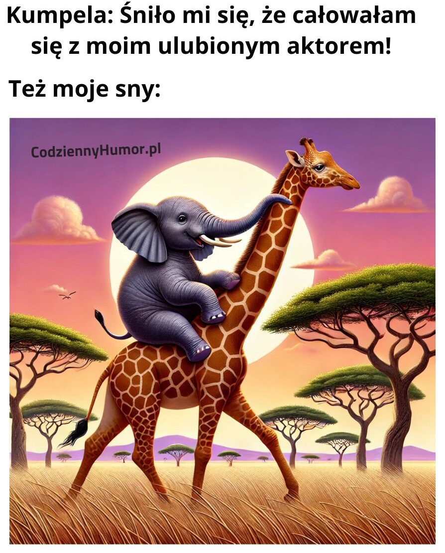 Też moje sny