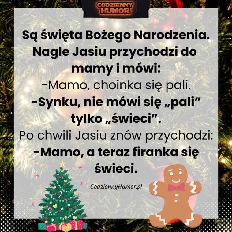 choinka się świeci