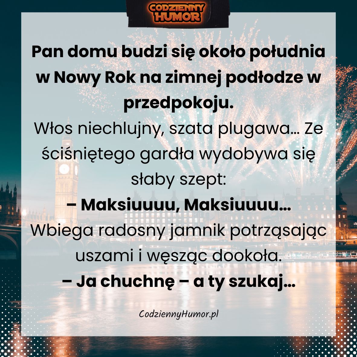 Pies do poszukiwań