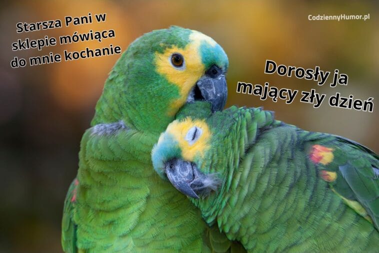 Miła Pani w sklepie