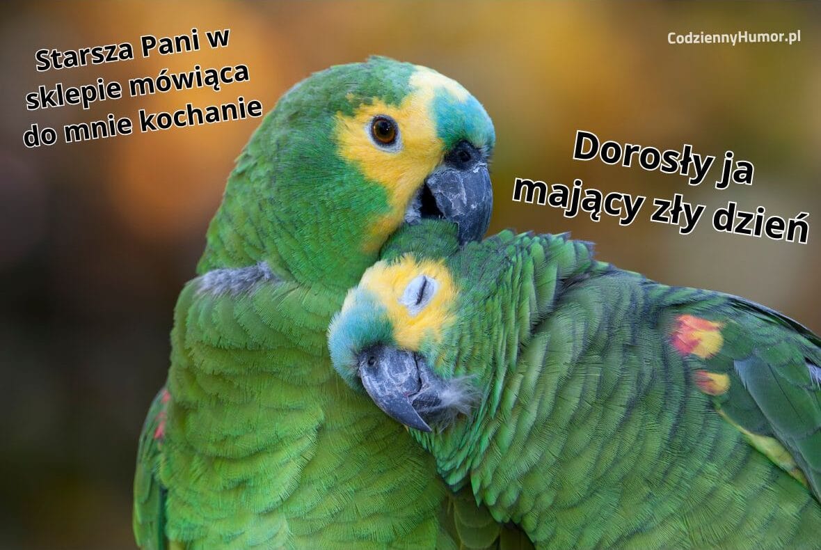 Miła Pani w sklepie