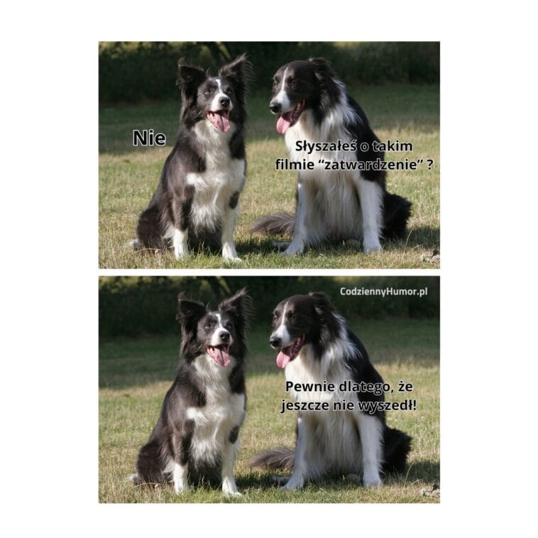 Zatwardzenie
