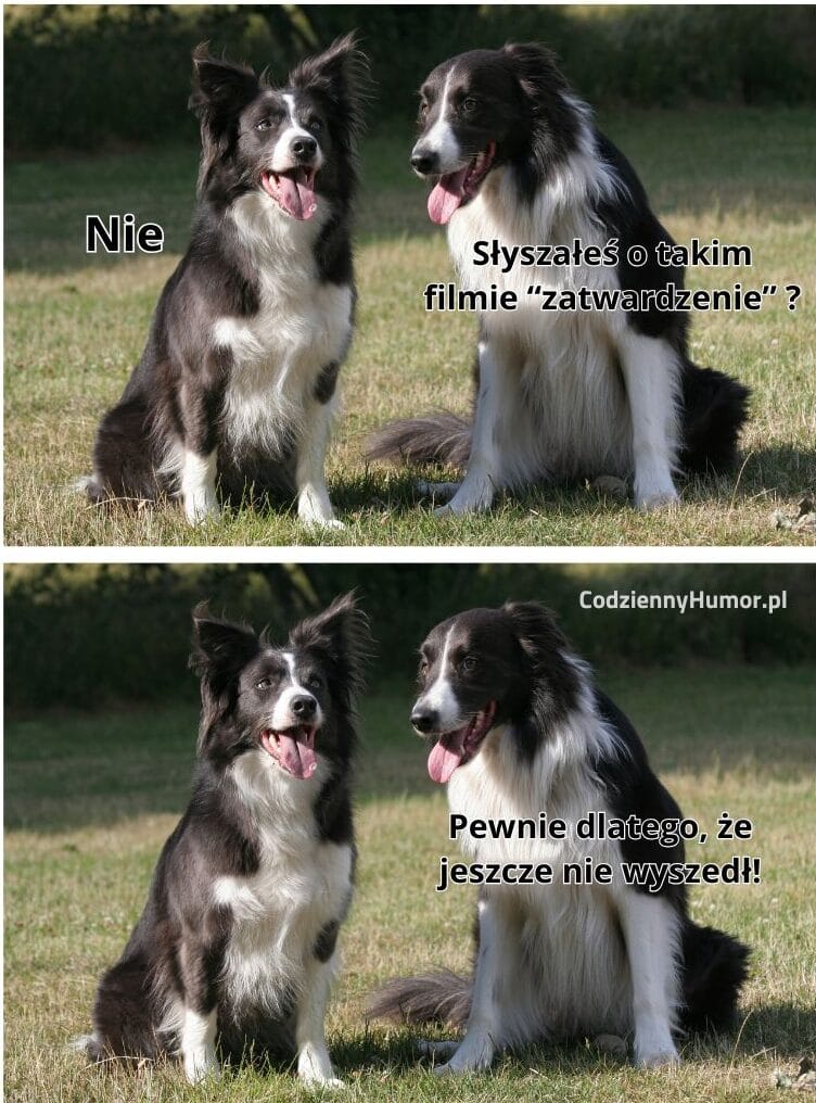 Zatwardzenie