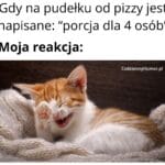 Porcja dla 4 os&oacute;b