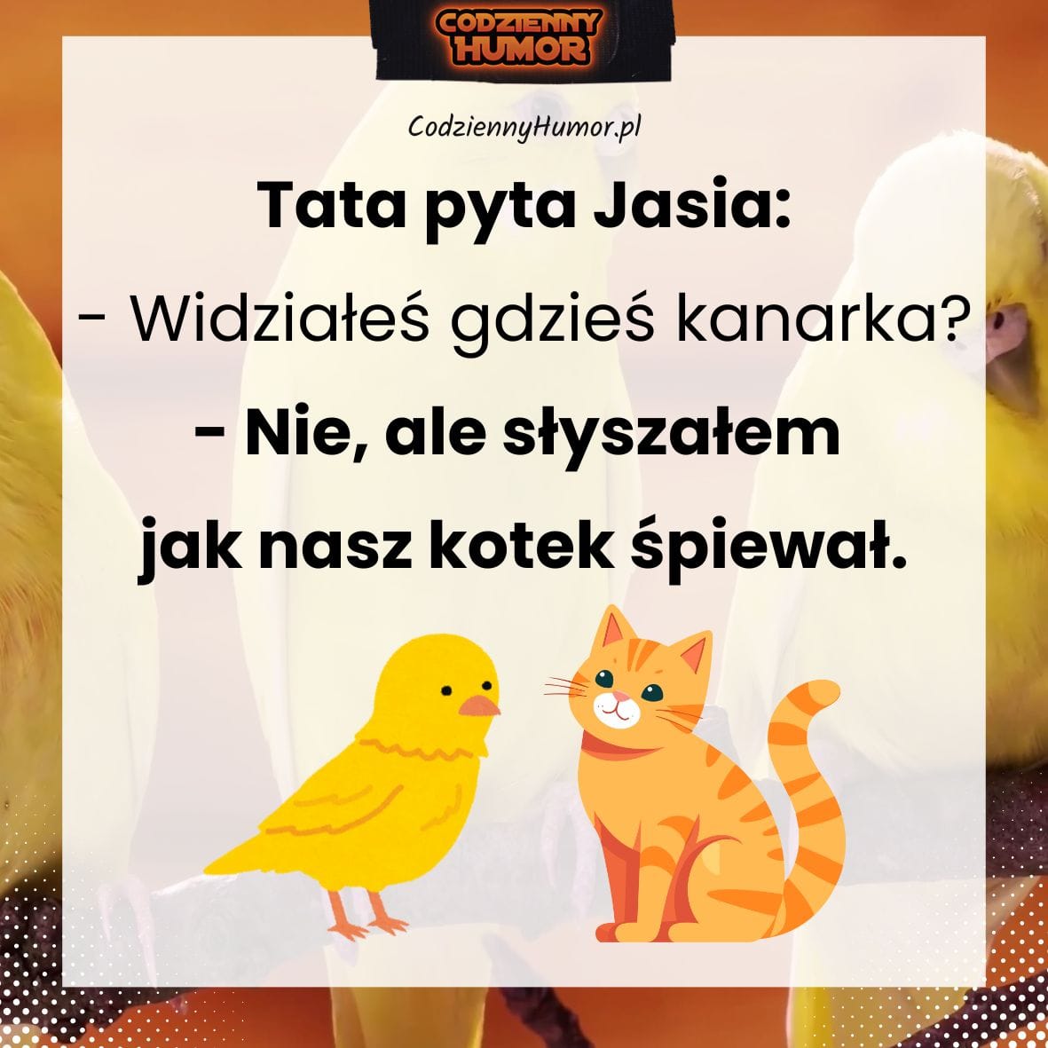 Kanarek