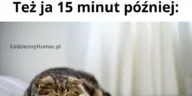 Zasypianie podczas filmu