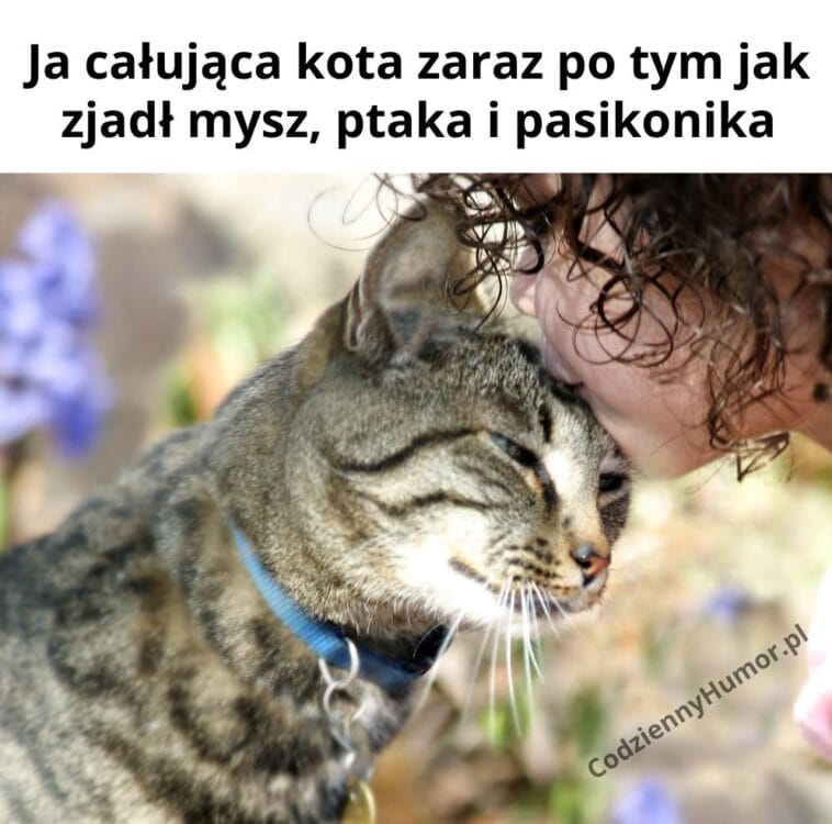 Całowanie kota