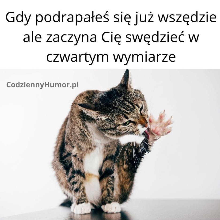 Swędząca ręka w czwartym wymiarze