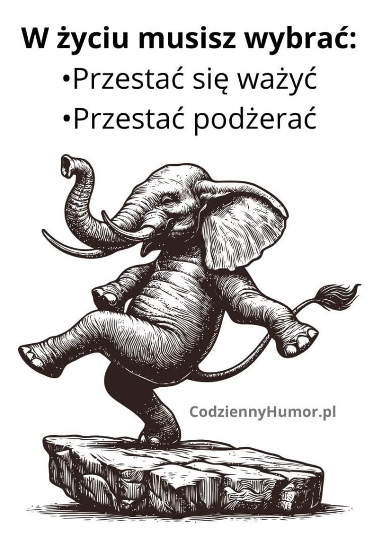 Wybierz w życiu mądrze