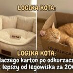 Logika kota