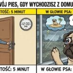 Co myśli Twój pies, gdy wychodzisz z domu na 5 minut